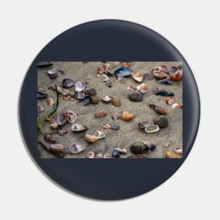 Beach Shells Pin