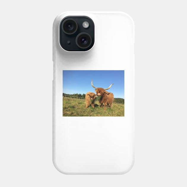 Scottish Highland Cattle Cow and Calf 1529 Phone Case by SaarelaHighland