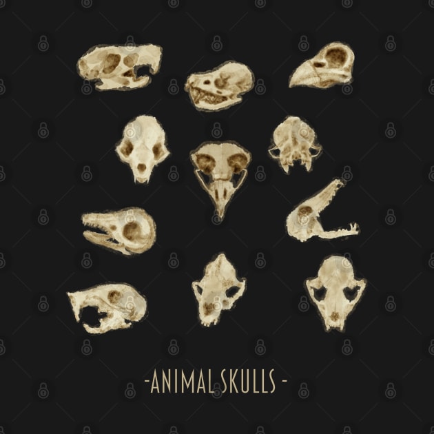 Skulls by Valtyr's Visions