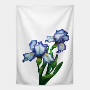 'Next to me' Iris watercolour painting Tapestry