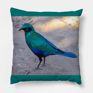African Blue Starling Bird in the Shade Pillow