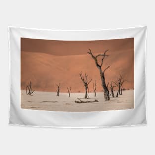 Dead Vlei Tapestry