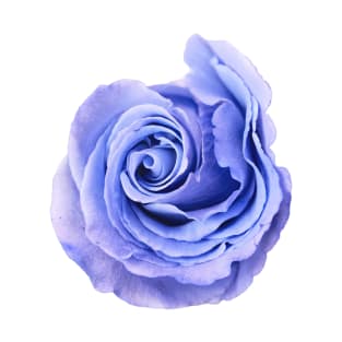 Blue Purple Rose Art Photo T-Shirt