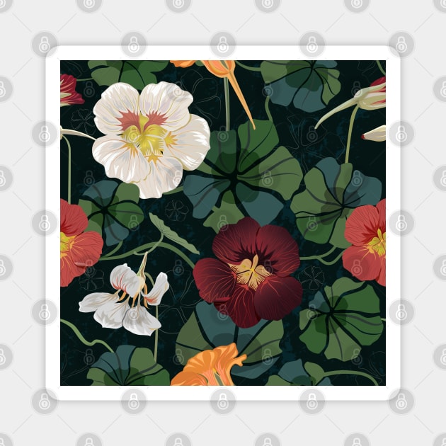 Garden nasturtium Magnet by Avisnanna