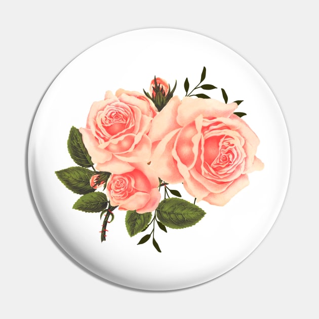 Watercolor Peach Roses, Botanical Illustration, Floral Arrangement Aesthetic Pin by DMRStudio