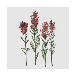 Wildflower Sketch Indian Paintbrush T-Shirt