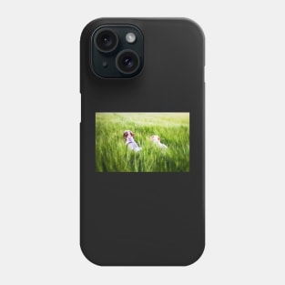 Barley field adventure Spinoni Phone Case