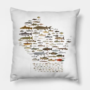 Fishes of Wisconsin Pillow