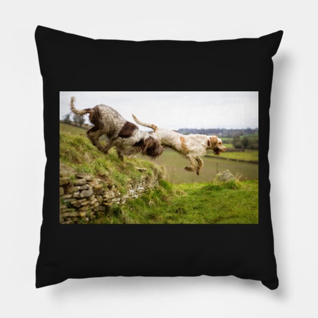 Leaping off a Long Barrow Spinoni Pillow by heidiannemorris