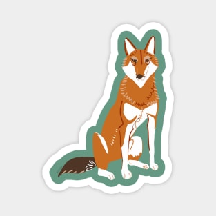 Caberu the Ethiopian Wolf #6 Magnet