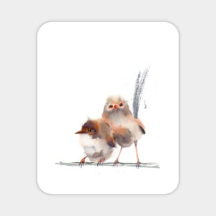 two wrens watercolor art print Magnet