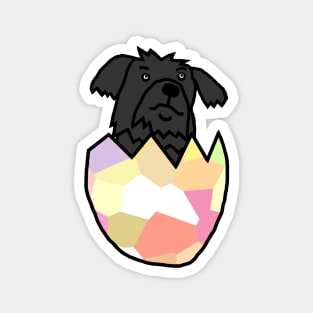 Puppy Dog Hatching from Easter Egg Magnet