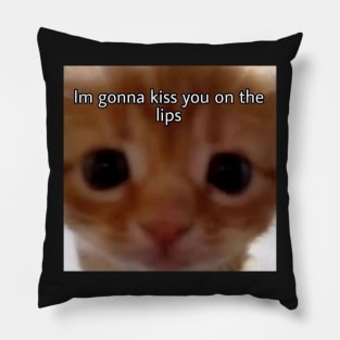 I'm gonna kiss you on the lips cat meme Pillow