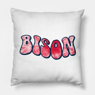 howard groovy lettering Pillow