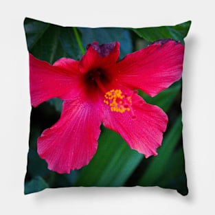 Pink Flower Pillow