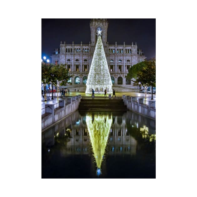 Christmas Tree Reflection by cbernstein