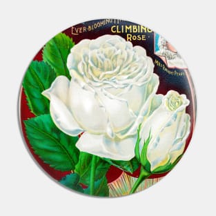 Rose Seed Catalogue Pin