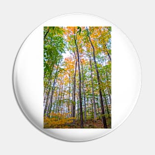 Autumn in the Tree Tops Pin