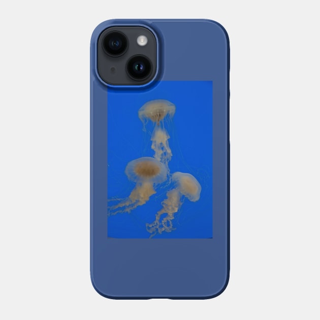 Are There Jellyfish in Playa Del Carmen? Discover the Truth!