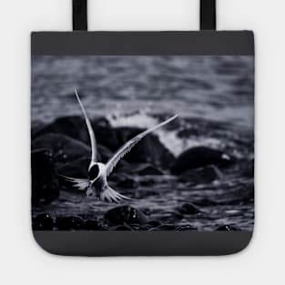 Crested Tern_VOA8098 Tote