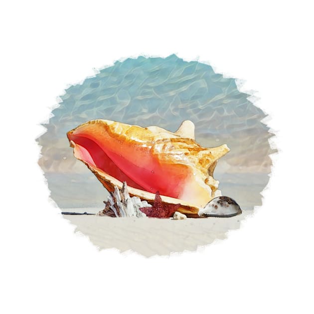 Conch Shell by PhotoArts