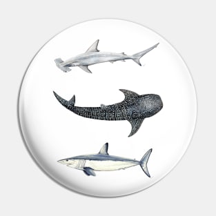 Shark trio: hammerhead shark, mako shark and whale shark Pin