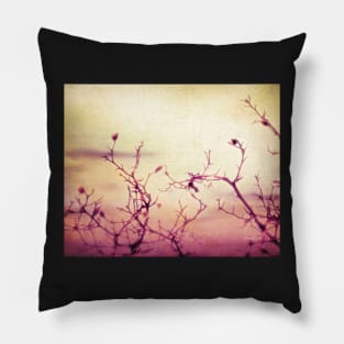 Pink Dawn - nature art Pillow