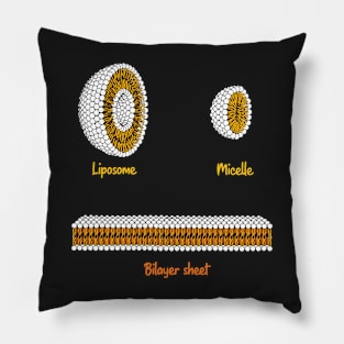 Phospholipids arrangement. Liposome Micelle soap phospholipid bilayer sheet Pillow