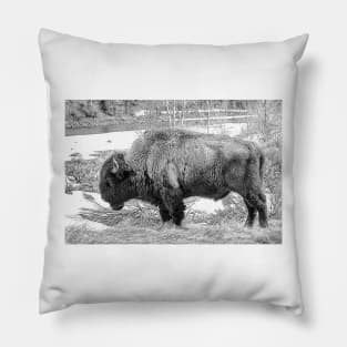 The Spirit Of The Buffalo  - Black And White Pillow