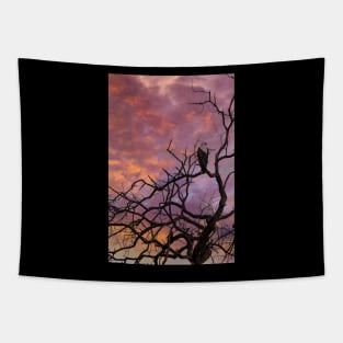 Sunset in Botswana Tapestry