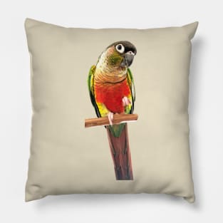 Green Cheek Conure Parrot Bird design | Green cheek | Love for birds Pillow