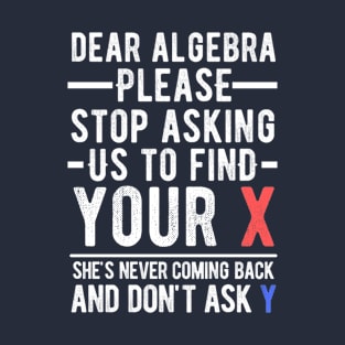 Dear Algebra Please Stop Asking Funny Math T-Shirt