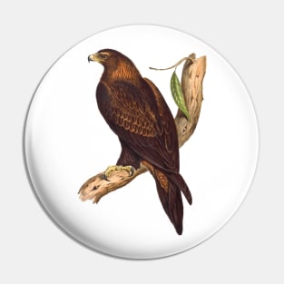 The Eagles Pin