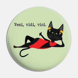 Veni Vidi Vici Pin