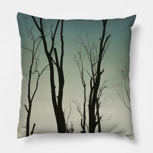 Nature lover Pillow