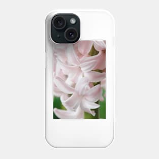 Hyacinthus orientalis  &#39;China Pink&#39;  Hyacinth Phone Case