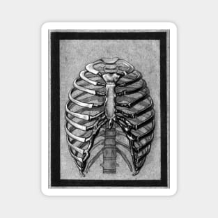 ribcage Magnet