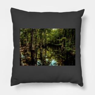 Swamp in Southeastern Georgia Pillow