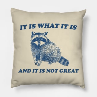 It Is What It Is And It Is Not Great, Funny Sweatshirt, Raccoon Sweatshirt, Cartoon Meme Top, Vintage Cartoon Pillow