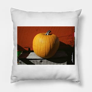 Perfect Pumpkin Pillow