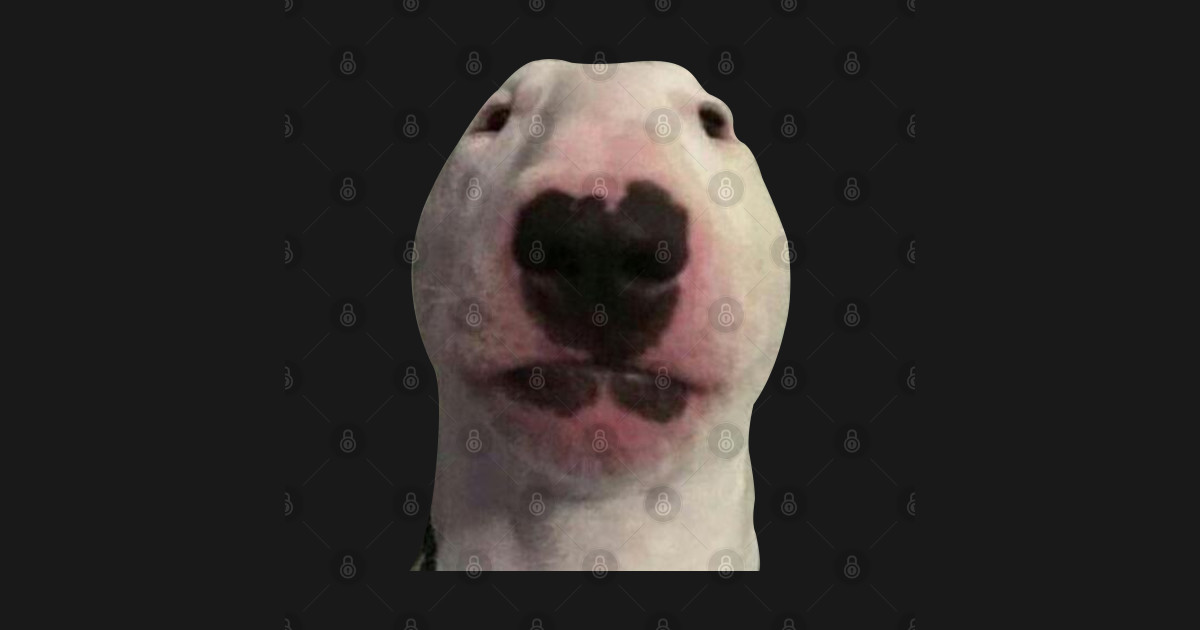 Staring Forward Dog Meme Meme Posters and Art Prints TeePublic