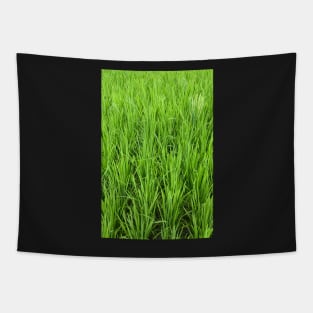 Rice Shoots Tapestry