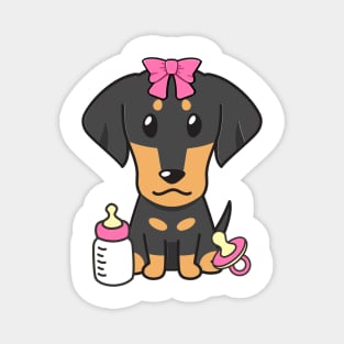 Cute dahshund is a baby - girl Magnet