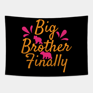 Big Brother Finally T Shirt For Women Men Tapestry