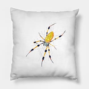 Golden Orb Weaver Pillow