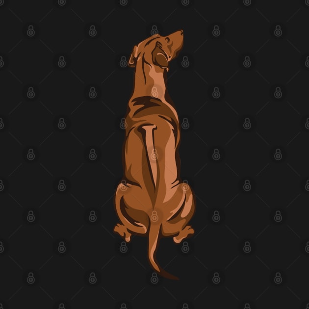 Rhodesian Ridgeback by DesignBySTARR