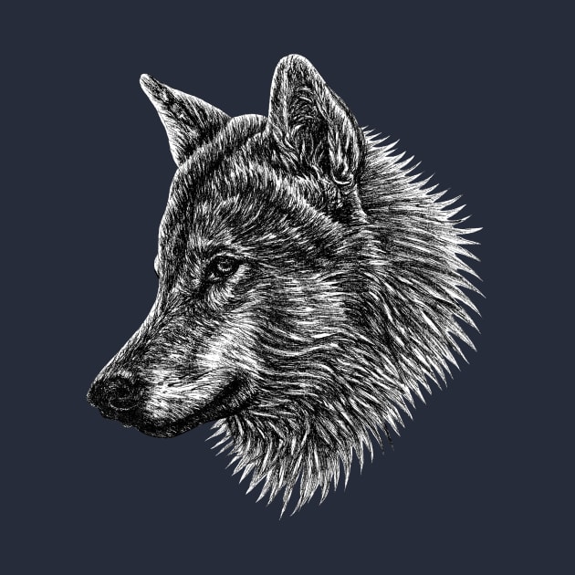 European wolf animal ink illustration by lorendowding