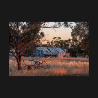 Old shed at sunrise T-Shirt