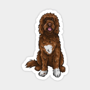 Cute Portuguese Water Dog | Chocolate Magnet