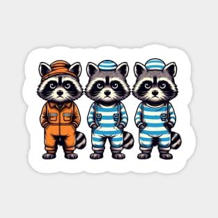 Raccoon Rogues Magnet